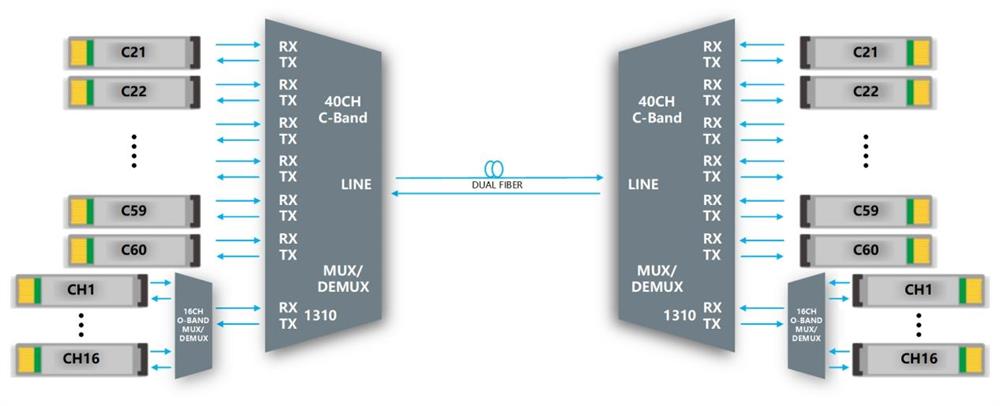 Dual-fiber application diagram, independent 1310 port